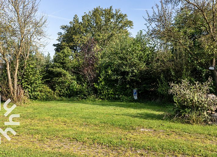 Kuh auf der Wiese bei DG016 Ferienhaus in Zuidwolde-Linde, Drenthe.
