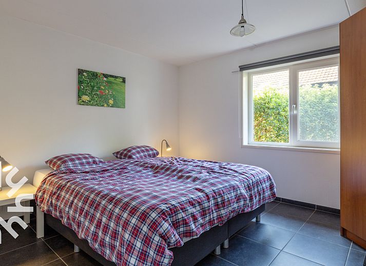 Kuh auf der Wiese bei DG016 Ferienhaus in Zuidwolde-Linde, Drenthe.