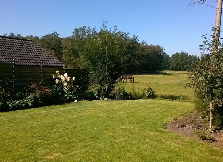 Charming vacation home Cottage in Dwingeloo, Lhee, with classic brick facade in Drenthe.