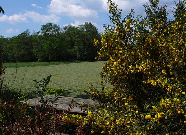 Modern kitchen in vacation home Cottage in Dwingeloo, Lhee, with stylish wooden cabinets in Drenthe.