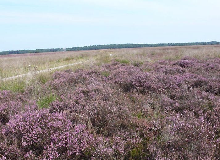 Modern kitchen in vacation home Cottage in Dwingeloo, Lhee, with stylish wooden cabinets in Drenthe.