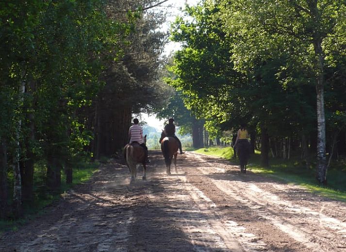 Modern kitchen in vacation home Cottage in Dwingeloo, Lhee, with stylish wooden cabinets in Drenthe.