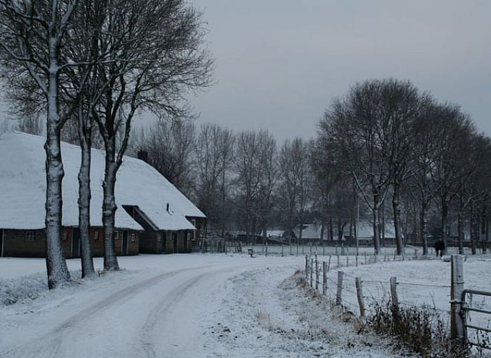 Spacious kitchen with lots of light in Cottage in Dwingeloo, Lhee, perfect for a comfortable stay.