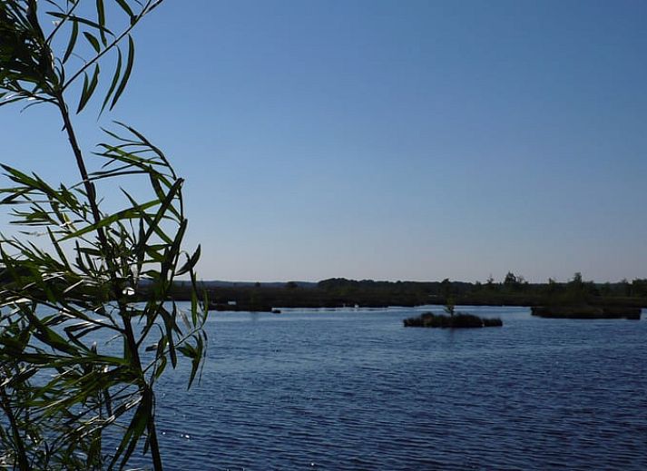 Spacious kitchen with lots of light in Cottage in Dwingeloo, Lhee, perfect for a comfortable stay.