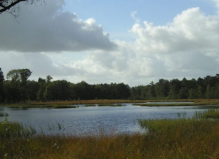 Spacious kitchen with lots of light in Cottage in Dwingeloo, Lhee, perfect for a comfortable stay.