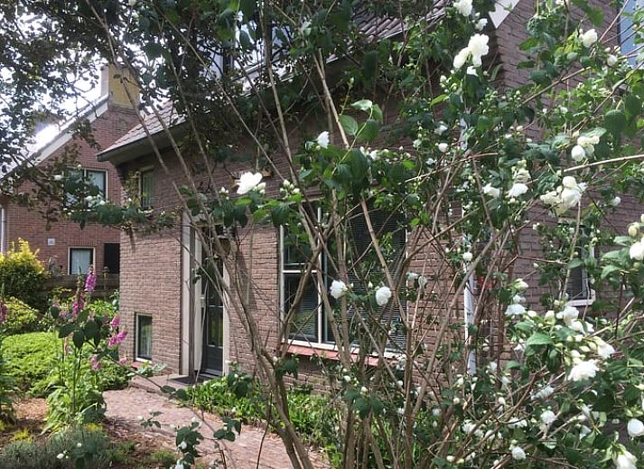Cozy terrace at vacation home Cottage in Dwingeloo, Lhee, surrounded by nature in Southwest Drenthe.