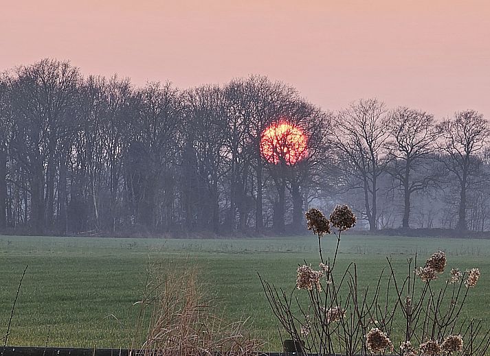 Vacation home DG2027 in Dieverbrug, Southwest Drenthe, surrounded by green nature and rustic charm.