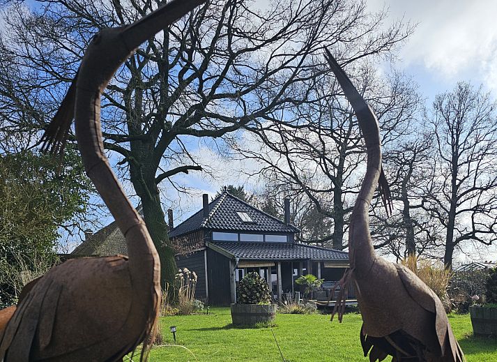 Relax in the natural surroundings of vacation home DG2027 in Dieverbrug, Drenthe, with beautiful garden views and a rustic sauna.