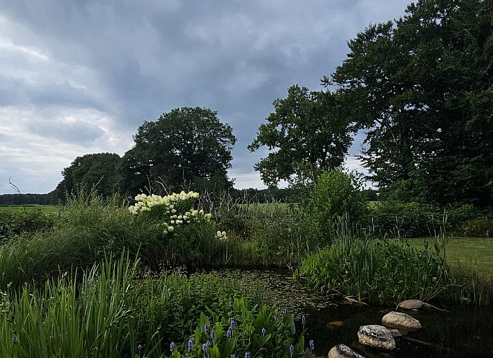 Vacation home DG2027 in Dieverbrug, Southwest Drenthe, surrounded by green nature and a retro camper in the foreground.