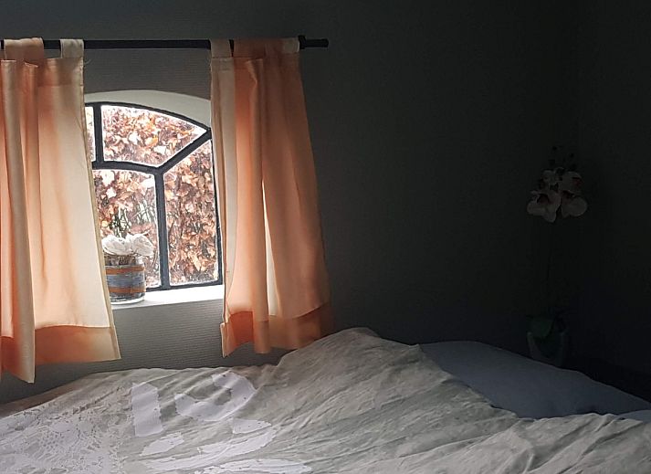 Geniessen Sie die Ruhe auf der Terrasse des Ferienhauses DG2026 in Dieverbrug, im Suedwesten der Provinz Drenthe, umgeben von gruener Natur und laendlichem Charme.