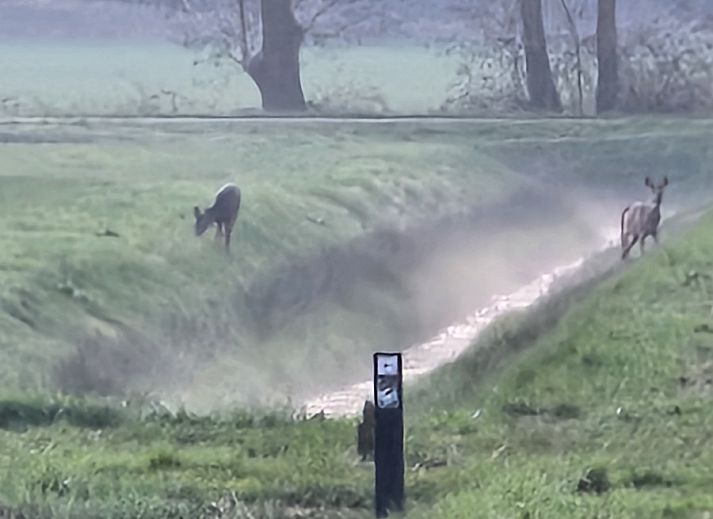 Geniessen Sie die Ruhe auf der Terrasse des Ferienhauses DG2026 in Dieverbrug, im Suedwesten der Provinz Drenthe, umgeben von gruener Natur und laendlichem Charme.