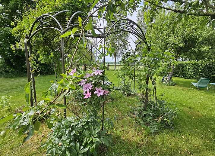 Entdecken Sie die ruhige, waldreiche Umgebung des Ferienhauses DG2026 in Dieverbrug, im Suedwesten von Drenthe, ideal fuer Naturliebhaber.