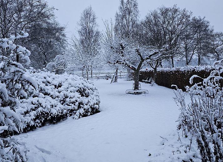 Geniessen Sie den ruhigen Garten des Ferienhauses DG2026 in Dieverbrug, im Suedwesten von Drenthe, umgeben von ueppiger Natur und bluehenden Blumen.