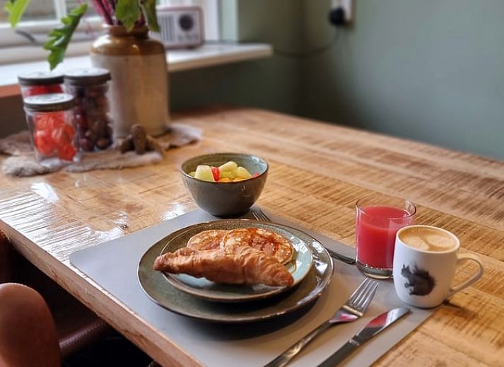 Luftaufnahme des Ferienhauses in Oude Willem, Suedwest-Drenthe, mit grossem Garten und gruener Umgebung.