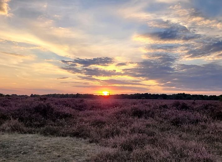 Luftaufnahme des Ferienhauses in Oude Willem, Suedwest-Drenthe, mit grossem Garten und gruener Umgebung.