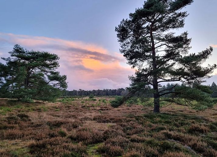 Gemuetliches Wohnzimmer des Ferienhauses in Oude Willem, Suedwest-Drenthe, mit Holzbalken und modernen Moebeln.