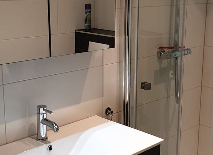 Outdoor area of Holiday Home in Oude Willem overlooking Drenthe nature.