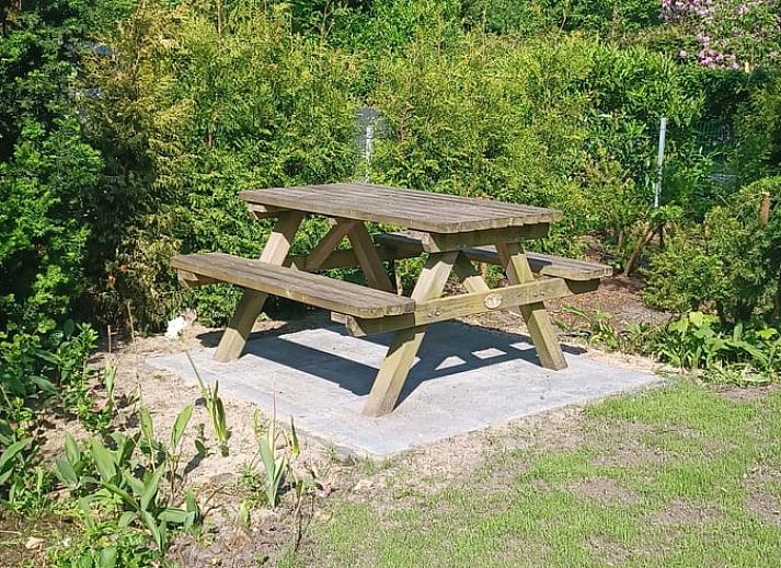 Plants in pots adorn the terrace of Holiday Home in Oude Willem, Drenthe.