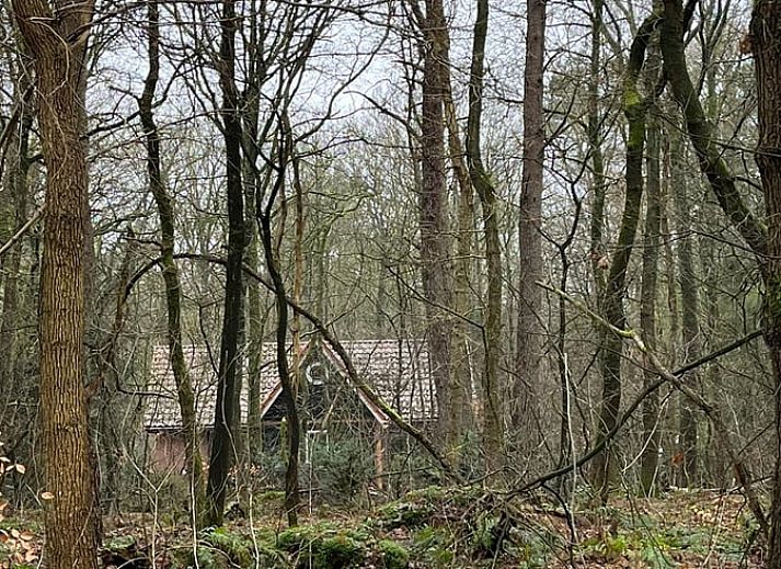 Verblijf 204011 • Vakantiewoning Zuidwest Drenthe • Huisje in Oude Willem