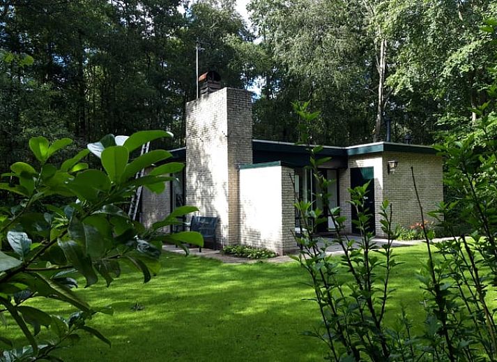 Rustiek vakantiehuisje in Oude Willem, Zuidwest Drenthe, met een charmant terras omgeven door weelderige natuur.