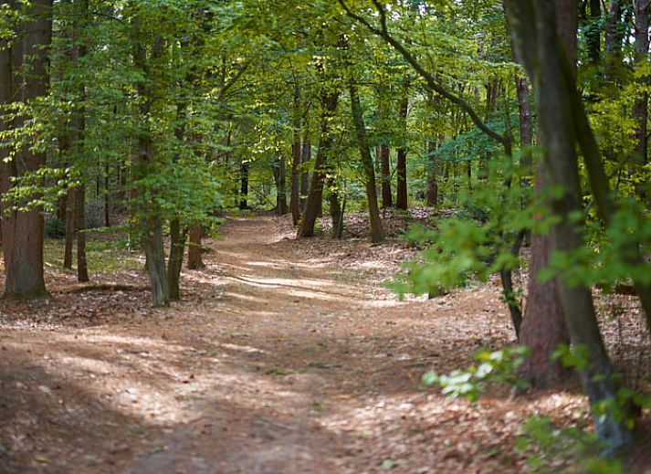 Geniet van een gezellige avond bij het kampvuur bij Huisje in Oude Willem, vakantiehuis in Zuidwest Drenthe.