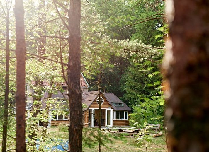 Geniet van een gezellige avond bij het kampvuur bij Huisje in Oude Willem, vakantiehuis in Zuidwest Drenthe.