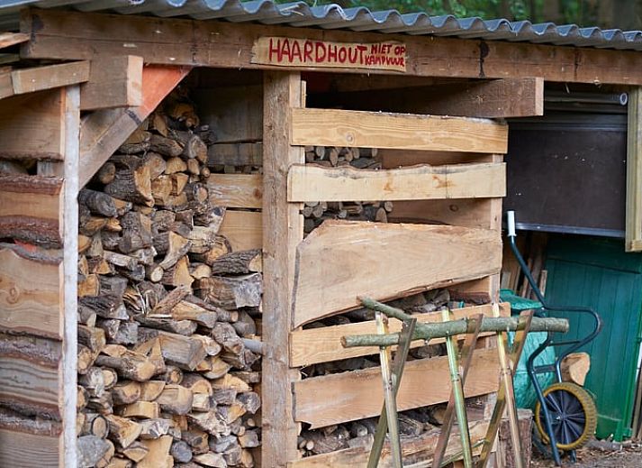 Luchtfoto van Huisje in Oude Willem, vakantiehuis omgeven door uitgestrekte bossen in Zuidwest Drenthe.