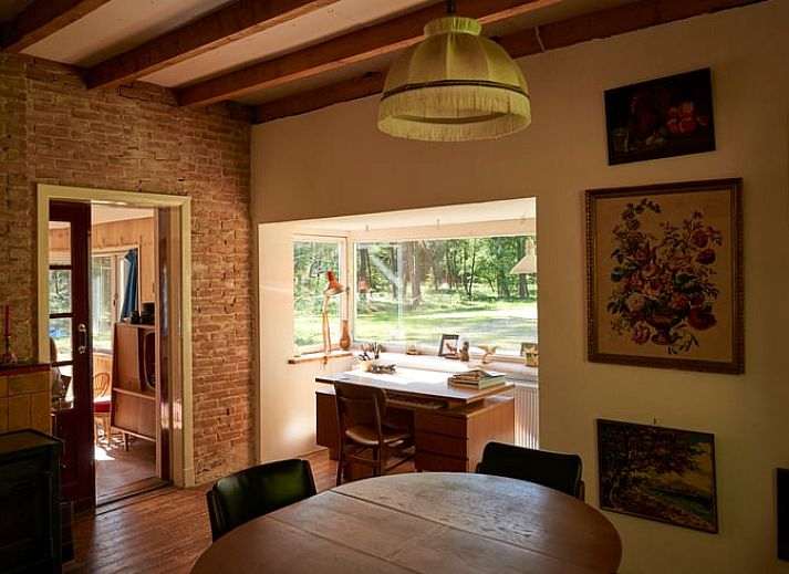 Ontdek de serene bosomgeving rondom Huisje in Oude Willem, vakantiehuis in Zuidwest Drenthe.