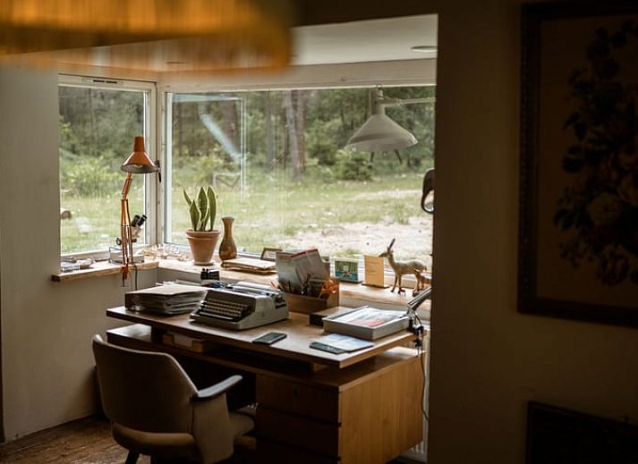 Zicht op Huisje in Oude Willem, een charmant vakantiehuis verscholen in de natuur van Zuidwest Drenthe.