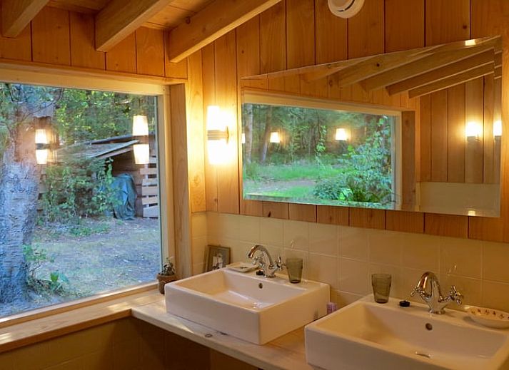 Zicht op Huisje in Oude Willem, een charmant vakantiehuis verscholen in de natuur van Zuidwest Drenthe.