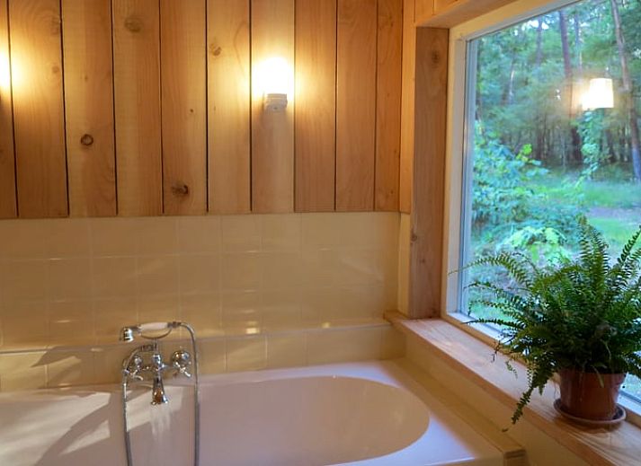 Huisje in Oude Willem, vakantiehuis met een uitnodigend terras in Zuidwest Drenthe.