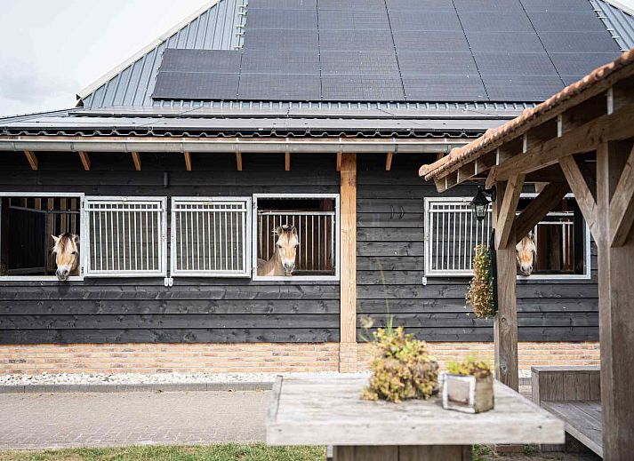 Luchtfoto van DG1556 vakantiehuis en omgeving in Oude Willem, Zuidwest Drenthe omgeven door uitgestrekte natuur.