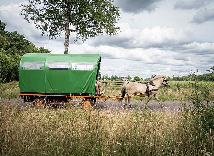 Ruime woonkamer van DG1556 vakantiehuis in Oude Willem, Zuidwest Drenthe met comfortabele zithoek en eethoek.