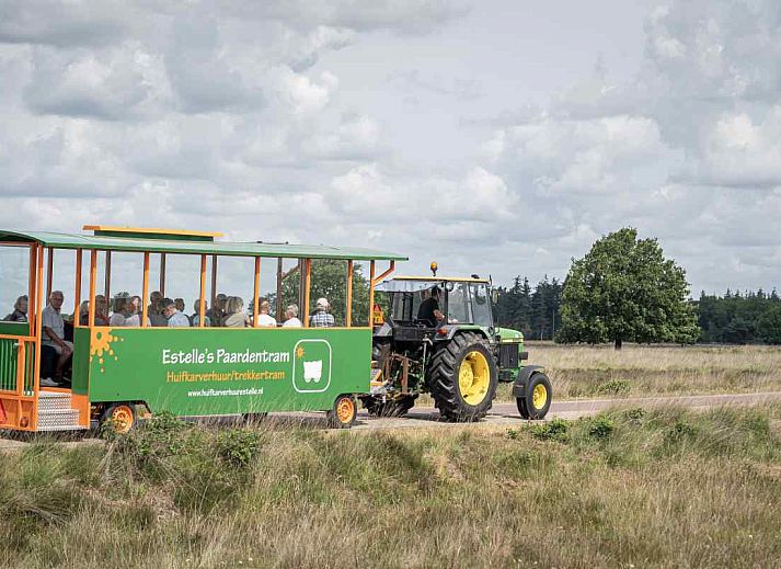Ruime woonkamer van DG1556 vakantiehuis in Oude Willem, Zuidwest Drenthe met comfortabele zithoek en eethoek.