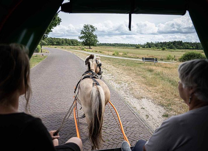 Paard en wagen op landelijke weg nabij DG1556 vakantiehuis in Oude Willem, Zuidwest Drenthe.