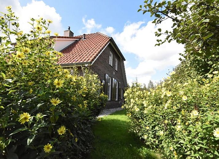Luftaufnahme des Ferienhauses in Hollandscheveld, umgeben von ueppiger Natur im Suedwesten von Drenthe.