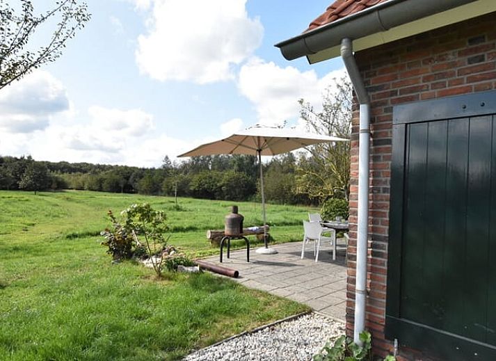 Blick von der Terrasse des Ferienhauses in Hollandscheveld, mit gruenen Feldern im Suedwesten von Drenthe.