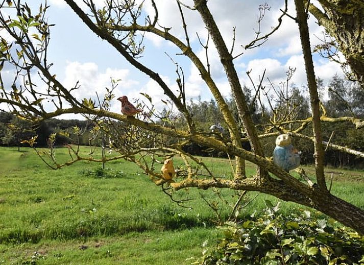 Gemuetliches Wohnzimmer des modern eingerichteten Ferienhauses in Hollandscheveld in Drenthe.