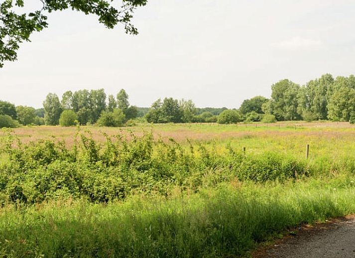 Gemuetliches Wohnzimmer des modern eingerichteten Ferienhauses in Hollandscheveld in Drenthe.