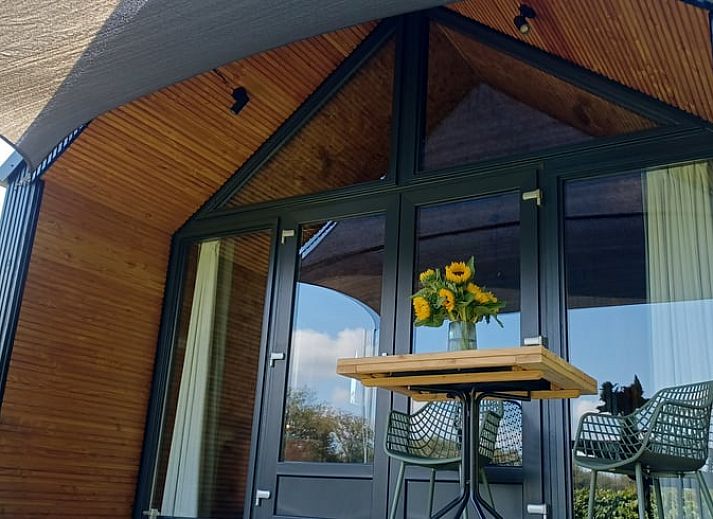 Huisje in Hollandscheveld omgeven door groen in Zuidwest Drenthe.