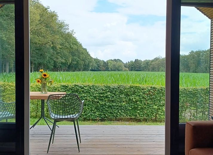Huisje in Hollandscheveld omgeven door groen in Zuidwest Drenthe.
