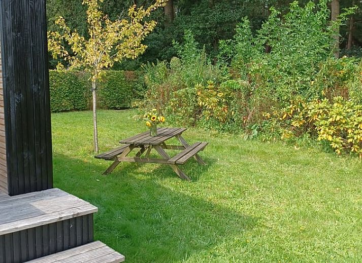 Terras van Huisje in Hollandscheveld met zonnebloemen, gelegen in Drenthe.