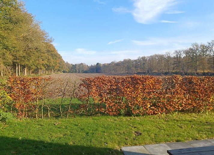 Uitzicht vanaf de binnenruimte van Huisje in Hollandscheveld op Drentse natuur.