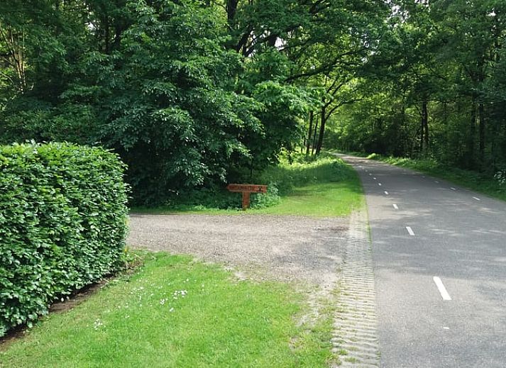 Uitzicht vanaf de binnenruimte van Huisje in Hollandscheveld op Drentse natuur.