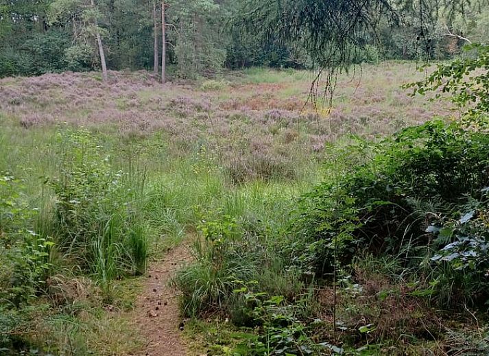Gezellige woonkamer met houtkachel in Huisje in Hollandscheveld, Zuidwest Drenthe.