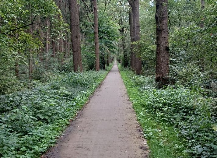 Gezellige woonkamer met houtkachel in Huisje in Hollandscheveld, Zuidwest Drenthe.