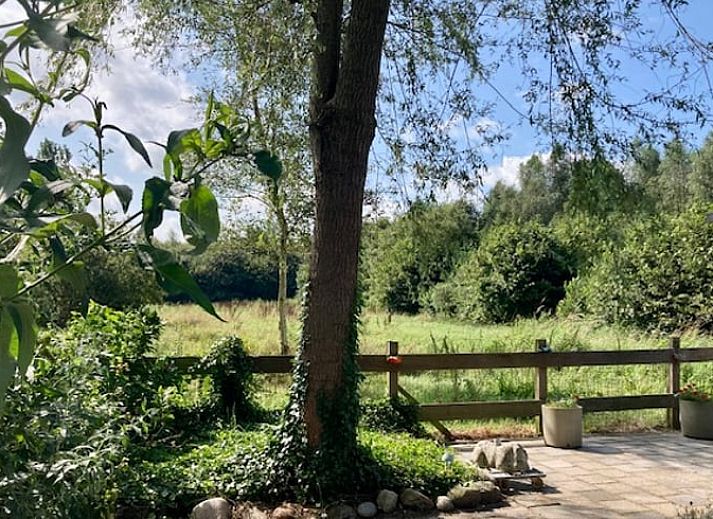 Unterkunft 204114 - Ferienhaus Zuidwest Drenthe - Huisje in Hollandscheveld