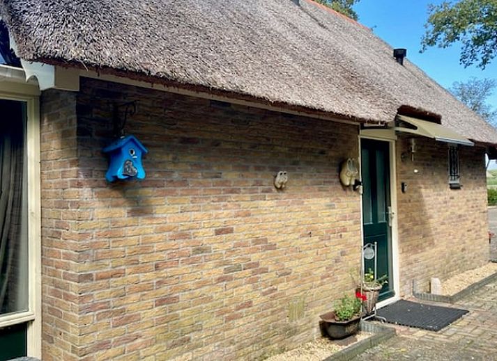 Unterkunft 204114 - Ferienhaus Zuidwest Drenthe - Huisje in Hollandscheveld