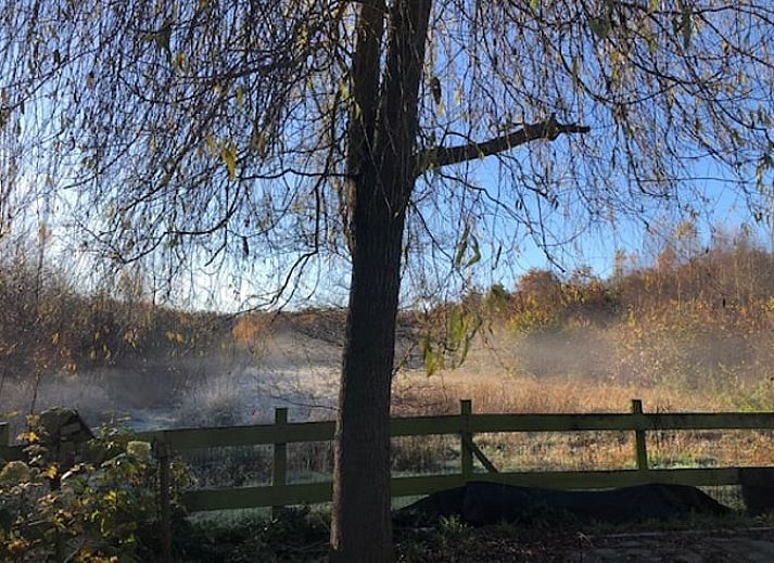 Unterkunft 204114 - Ferienhaus Zuidwest Drenthe - Huisje in Hollandscheveld