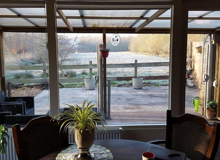 Unterkunft 204114 - Ferienhaus Zuidwest Drenthe - Huisje in Hollandscheveld